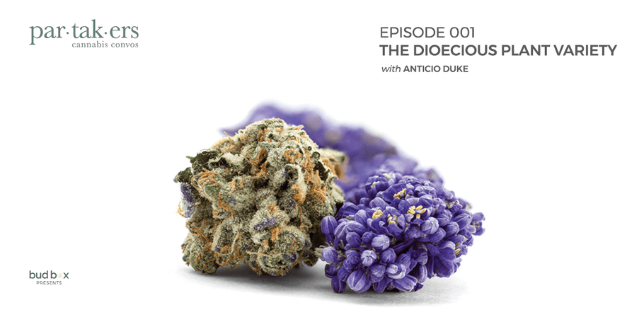 The Dioecious Plant: Partakers Podcast Ep1
